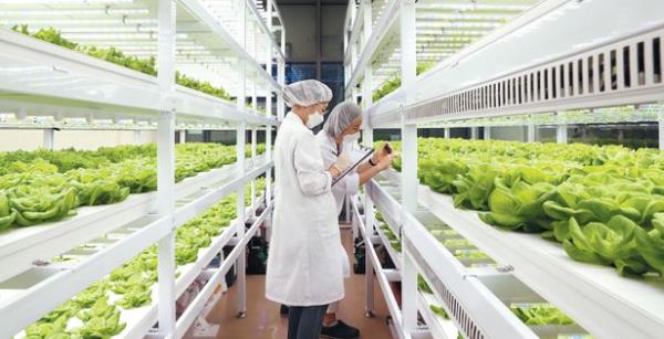 [Ϻ] ,ϻ,... ö, ϻ󰡼 ڶ 